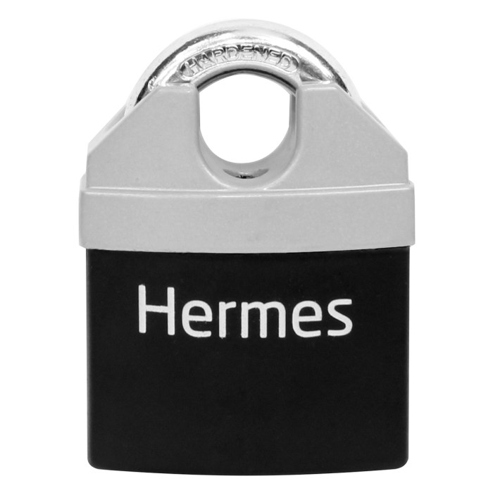 Visací zámek Richter Czech RV.HERMES.65